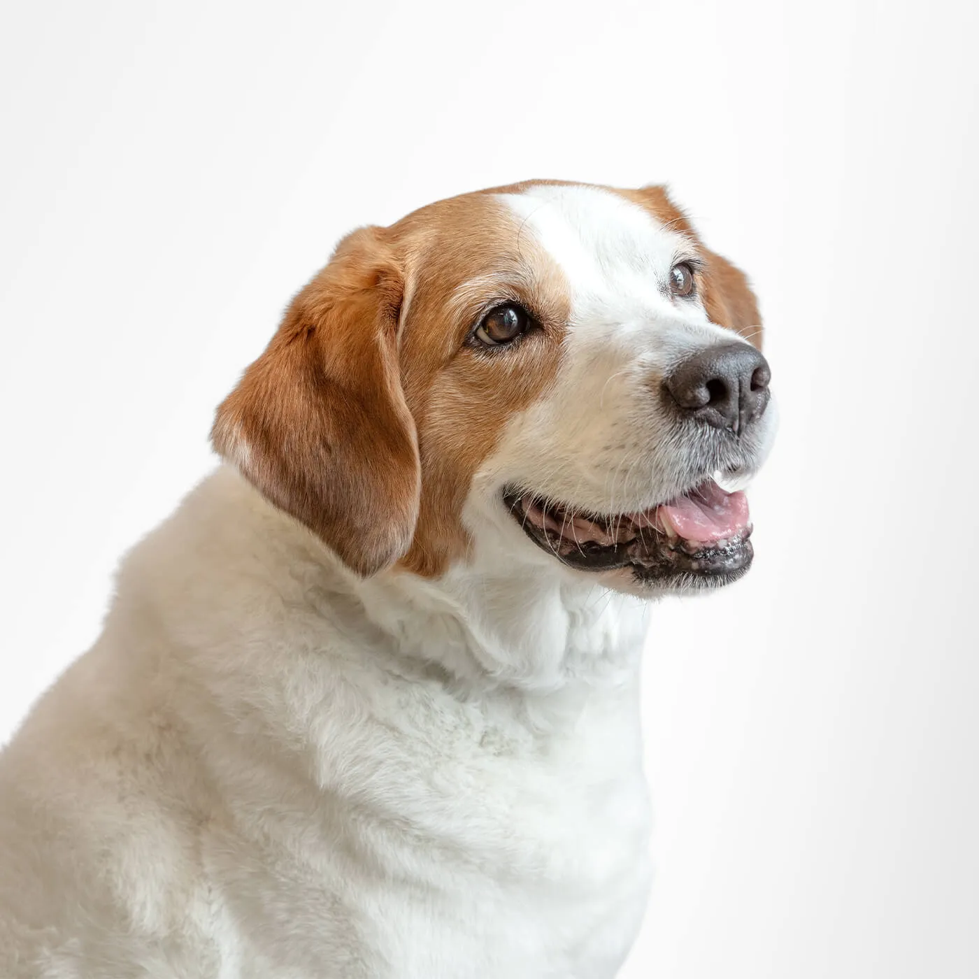 Renley